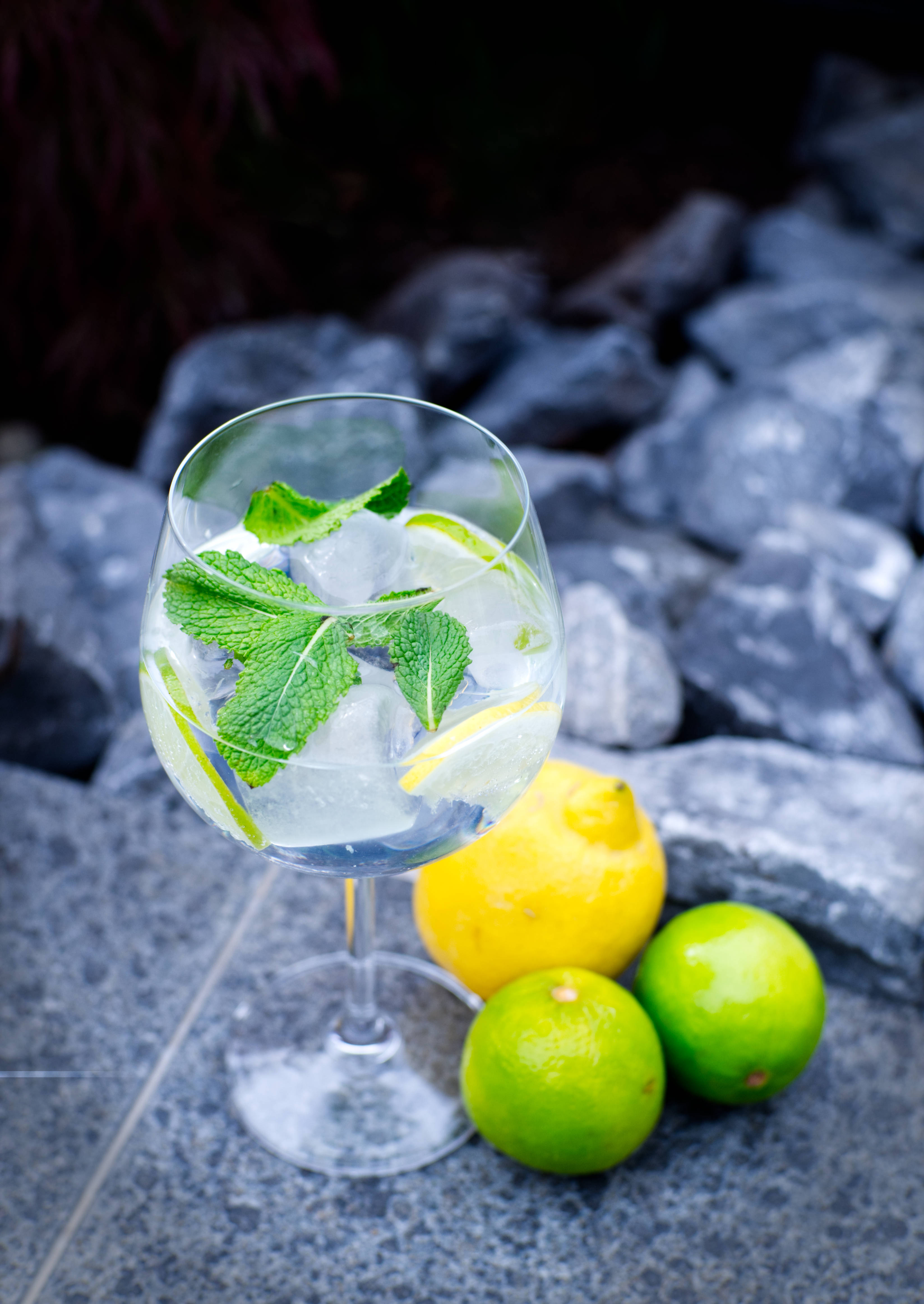 Photo produit Gangin — cocktail gin tonic avec menthe fraîche et agrumes